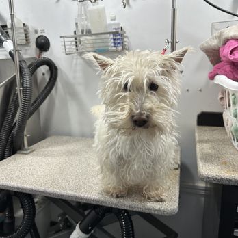 WhitsEnd Pet Grooming - Pet Groomers Near Me WhitsEnd Pet Grooming - Pet Groomers Near Me