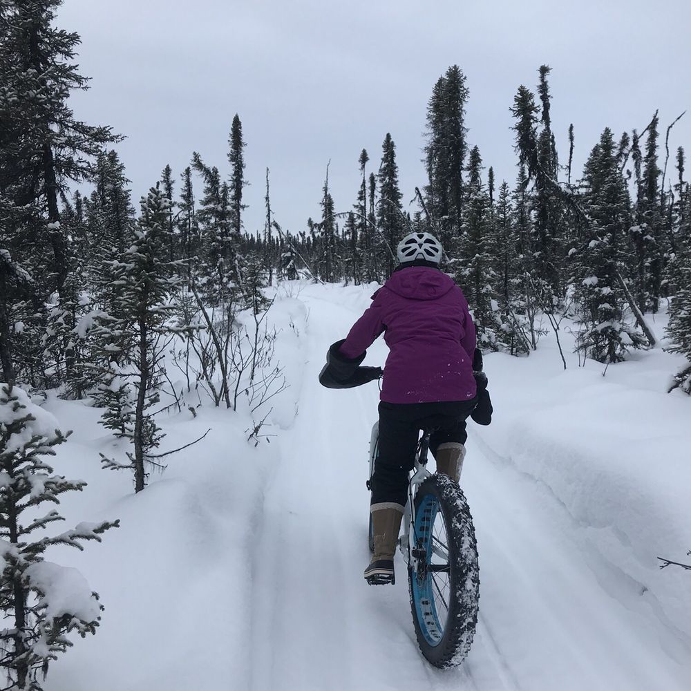 North Shore Cyclery - Bike Rentals Near Me - Talkeetna, Alaska North Shore Cyclery - Bike Rentals Near Me - Talkeetna, Alaska