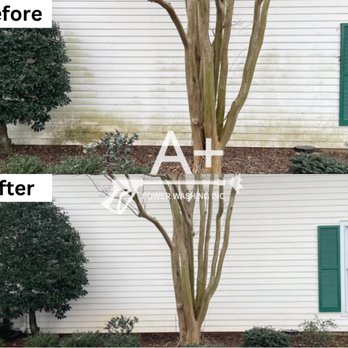 A Plus Power Washing, Inc - Algae removal - Pressure Washers Near Me A Plus Power Washing, Inc - Algae removal - Pressure Washers Near Me