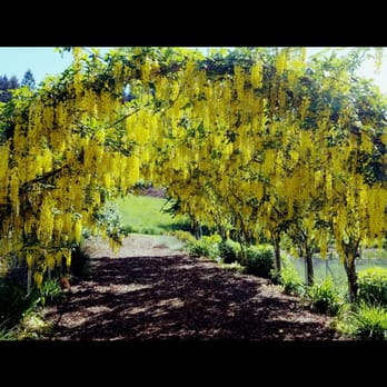 Villa Catalana Cellars - Amazing landscape - Wineries Near Me - Oregon City, Oregon Villa Catalana Cellars - Amazing landscape - Wineries Near Me - Oregon City, Oregon