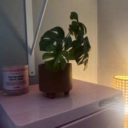 FLB Skin - Love the vibe and calmness of her spa!