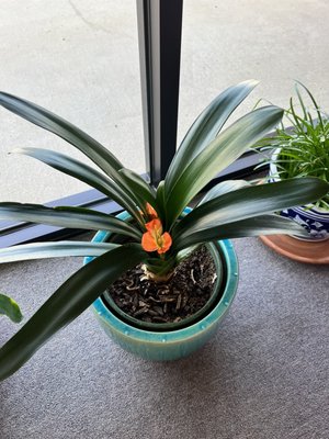 Envy Lash Studio Montgomery