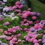 Photo of Turftenders Landscape Services