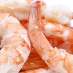 Nautilus Seafood
