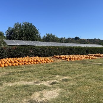 BATES NUT FARM - Updated April 2025 - 1816 Photos & 533 Reviews - 15954