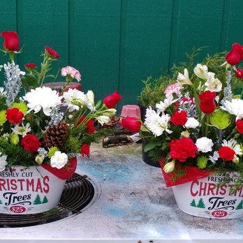 Thenmbflowerlady - Xmas tin planters - Florists Near Me Thenmbflowerlady - Xmas tin planters - Florists Near Me