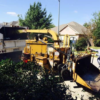 Paradise Trees - Tree Services Near Me - Pflugerville, Texas Paradise Trees - Tree Services Near Me - Pflugerville, Texas