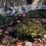 Photo of R & S Landscaping LLC