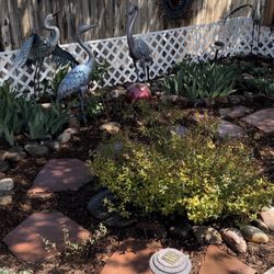 R & S Landscaping LLC - Backyard