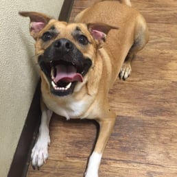 happy Newman happy Newman