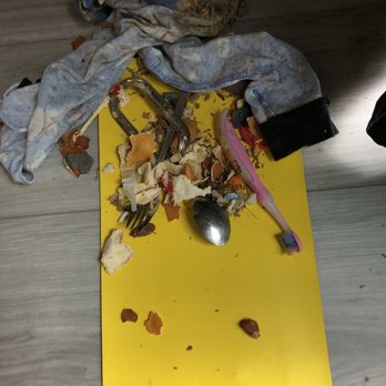 Best Air Duct Cleaning Services - Here are the pants . I was also wondering where our silver wear was hiding.... kids... lol - Air Duct Cleaning Near Me Best Air Duct Cleaning Services - Here are the pants . I was also wondering where our silver wear was hiding.... kids... lol - Air Duct Cleaning Near Me