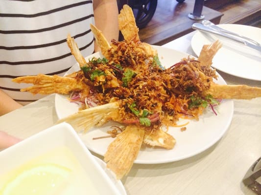 Kailis Bros Leederville by null