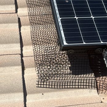 Harris Solar Panel Cleaning and Bird Proofing - Solar Panel Cleaning Near Me Harris Solar Panel Cleaning and Bird Proofing - Solar Panel Cleaning Near Me