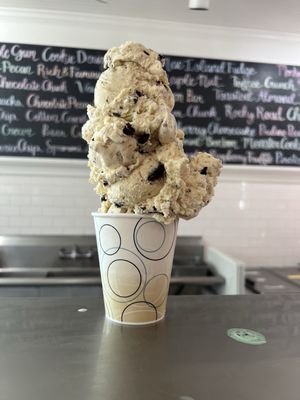 Nelson's Ice Cream by null