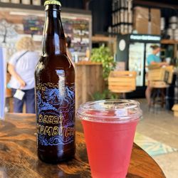 Beech Kombucha
