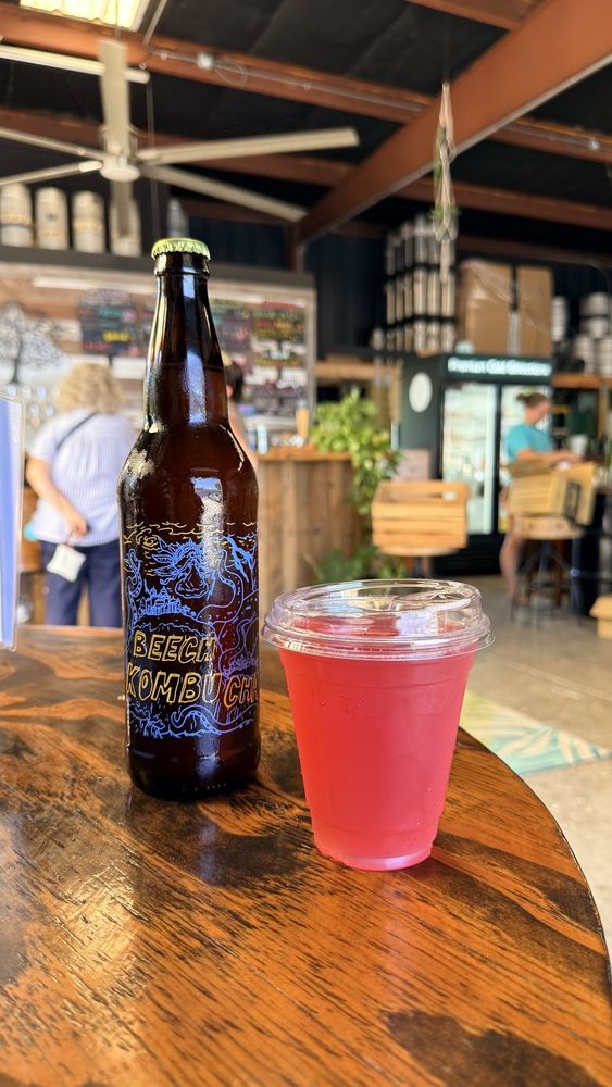 Beech Kombucha Logo