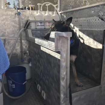 The Pooch Mobile - Pet Groomers Near Me - Sun City, Arizona The Pooch Mobile - Pet Groomers Near Me - Sun City, Arizona