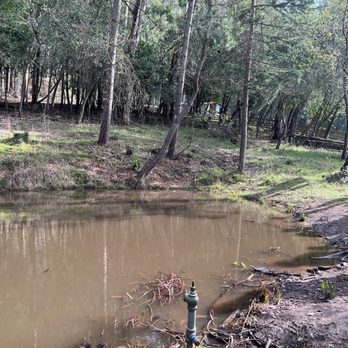 Tilden Regional Park and Environmental Educatn Ctr - Pond - Parks Near Me - Berkeley, California
