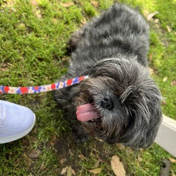 Park Bench Café - Missus asking for more treats... - Breakfast & Brunch Near Me - Huntington Beach, California