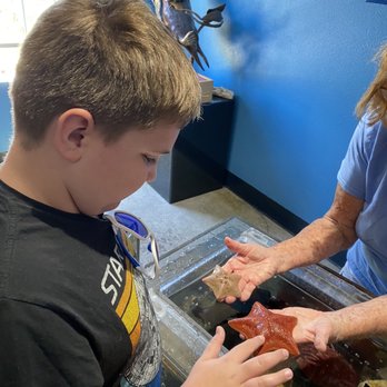Central Coast Aquarium - Touching the sea stars - Aquariums Near Me - Avila Beach, California Central Coast Aquarium - Touching the sea stars - Aquariums Near Me - Avila Beach, California