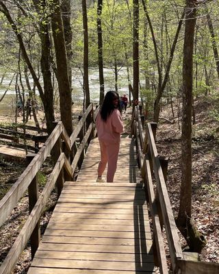 Sweetwater Creek State Park by null