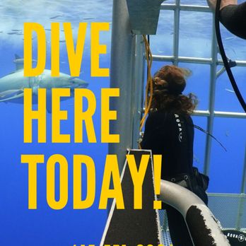 Harbor Dive Center - Aboard America's Shark Boat! - Scuba Diving Near Me - Sausalito, California Harbor Dive Center - Aboard America's Shark Boat! - Scuba Diving Near Me - Sausalito, California