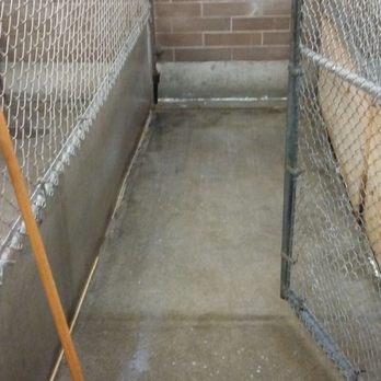 Des Moines Veterinary Hospital - Where dogs are boarded - Veterinarians Near Me - Des Moines, Washington Des Moines Veterinary Hospital - Where dogs are boarded - Veterinarians Near Me - Des Moines, Washington