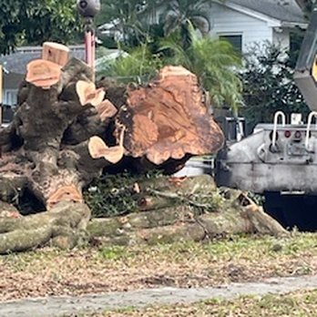 McCullough Tree Service - Tree Services Near Me - Longwood, Florida McCullough Tree Service - Tree Services Near Me - Longwood, Florida