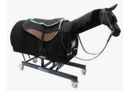 Yoga On Horseback - equestrian in Monongahela, PA