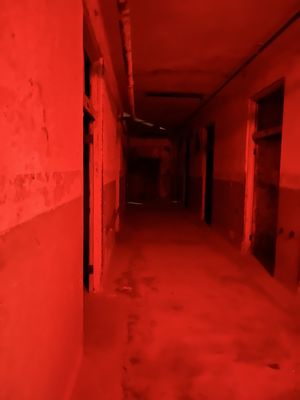 The Waverly Hills Sanatorium by null