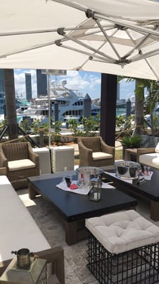 The Deck at Island Gardens by null