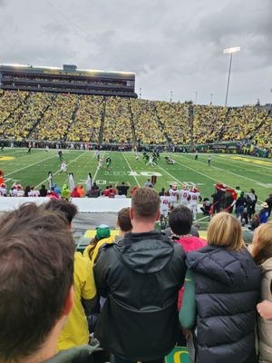 Autzen Stadium by null