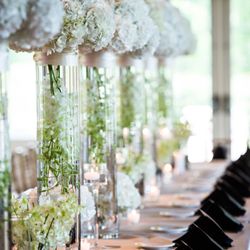 Posy - Benjamin James Photography