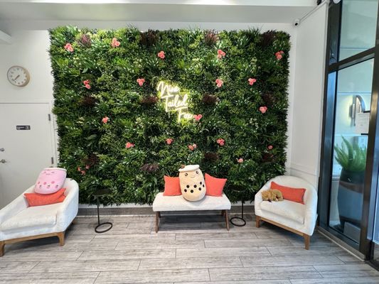 Sharetea - Orinda by null