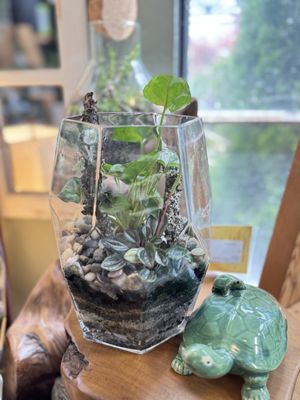 Portland Nursery by null