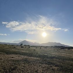 JW Ranch