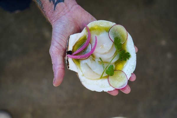 Shoots Fish & Beer by null