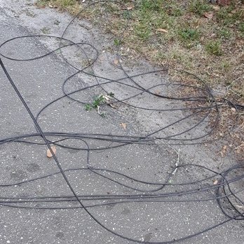 Shaw's Tree Service - cables knocked down by speeding, swerving reckless driver who later said he didn't care about the wires. - Tree Services Near Me - Jacksonville, Florida Shaw's Tree Service - cables knocked down by speeding, swerving reckless driver who later said he didn't care about the wires. - Tree Services Near Me - Jacksonville, Florida