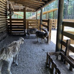 Morningside Nature Center