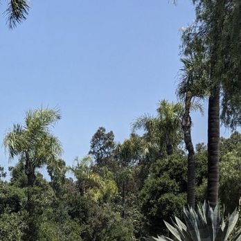 Leo Carrillo Ranch Historic Park - Palm tree trail as we were being followed by staff golf carts around the facility. - Landmarks & Historical Buildings Near Me - Carlsbad, California