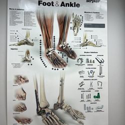 Advanced Foot, Ankle & Wound Specialists - Dr. Strauss is amazing! Referred by a friend. Very down to earth and friendly. If anyone needs a podiatrist, go see him. Highly recommended.