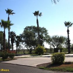 Bentsen/Palm RV Resort - Nice large sites