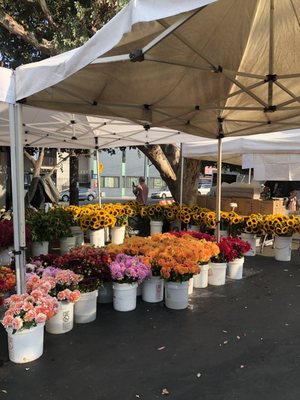 Temescal Farmer's Market by null