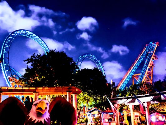 Six Flags Fiesta Texas by null
