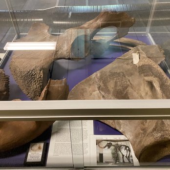 George Owens Nature Park - Mammoth bones!! Reservation building - Parks Near Me - Independence, Missouri