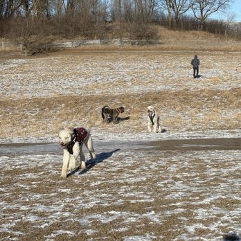 Andy's Bark Park - January 2025 - Dog Parks Near Me - Woodbury, Minnesota
