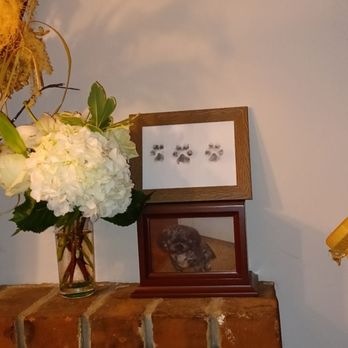 Coventry Animal Hospital - Veterinarians Near Me - Coventry, Rhode Island