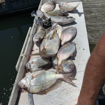 Hookem Charters - Bunch of big porgies. - Fishing Near Me - Piermont, New York