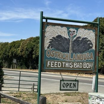 Ostrichland USA - Attraction Farms Near Me - Solvang, California Ostrichland USA - Attraction Farms Near Me - Solvang, California