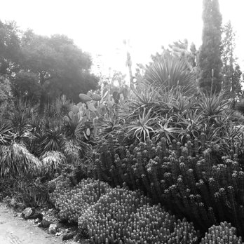 Arizona Garden - Botanical Gardens Near Me - Stanford, California Arizona Garden - Botanical Gardens Near Me - Stanford, California